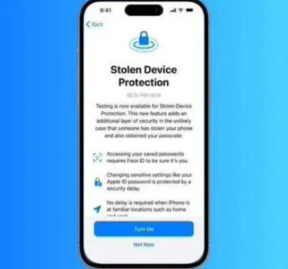 宣汉苹果授权维修店分享被盗设备保护功能开启方法 