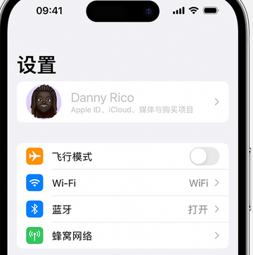 宣汉appleID维修服务iPhone设置中Apple ID显示为灰色无法使用 