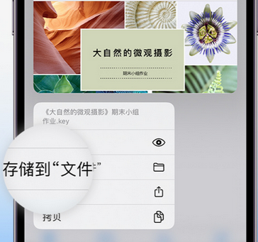 宣汉apple维修中心分享iPhone文件应用中存储和找到下载文件