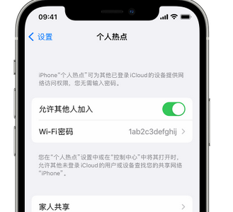 宣汉apple服务站点分享iPhone上个人热点丢失了怎么办 