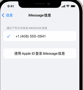 宣汉apple维修iPhone上无法正常发送iMessage信息 