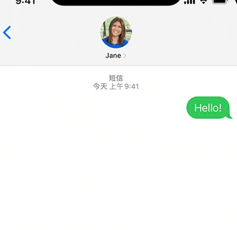 宣汉apple维修iPhone上无法正常发送iMessage信息