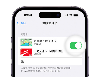 宣汉apple维修点分享iPhone上更换Apple Pay快捷交通卡手绘卡面 