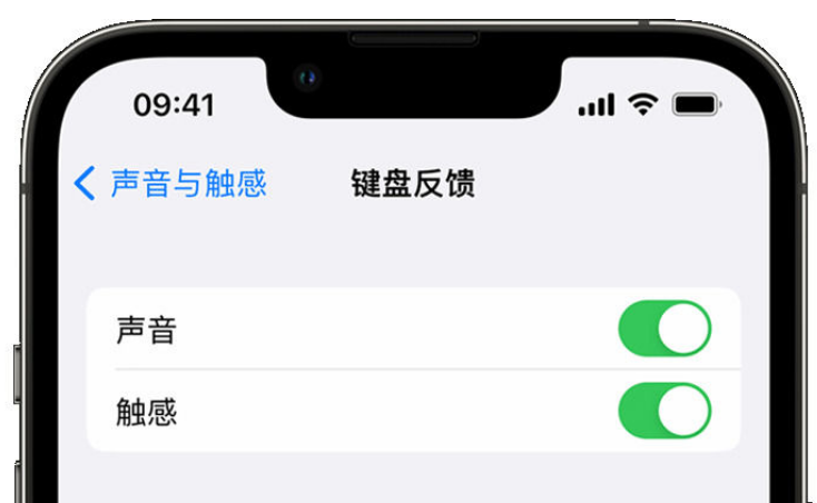 宣汉苹果手机维修分享iPhone 14触感键盘使用方法 