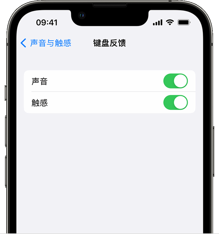 宣汉苹果14维修店分享如何在 iPhone 14 机型中使用触感键盘 