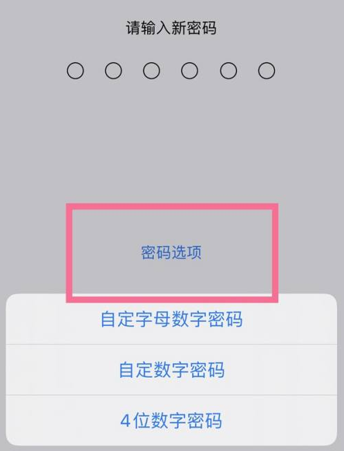 宣汉苹果14维修分享iPhone 14plus设置密码的方法 