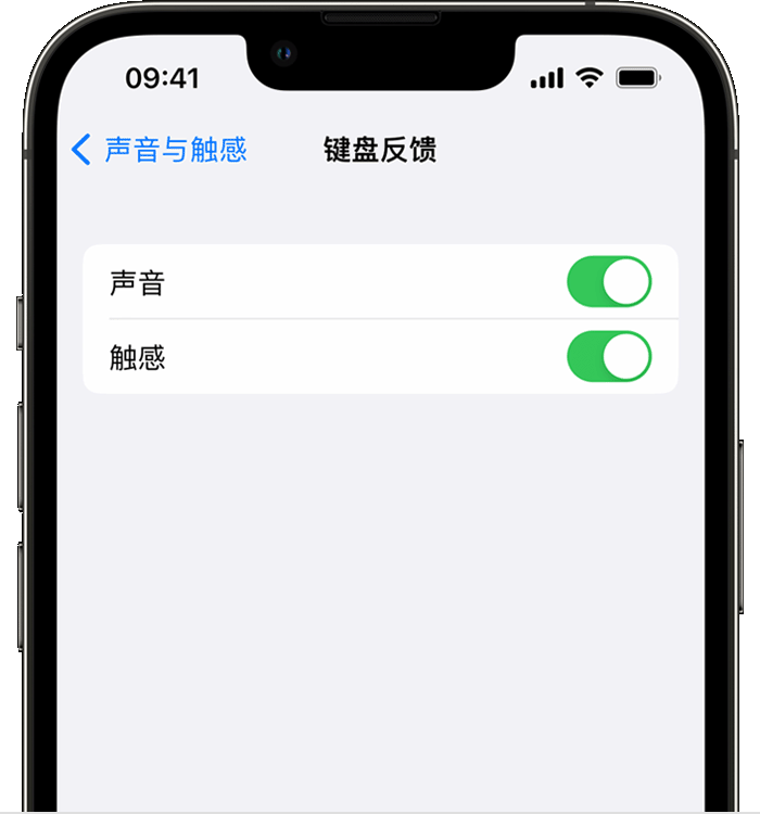 宣汉苹果14维修分享iPhone 14 系列机型如何开启键盘声音或触感反馈 