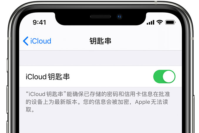 宣汉苹果手机维修分享在 iPhone 上开启 iCloud 钥匙串之后会储存哪些信息 