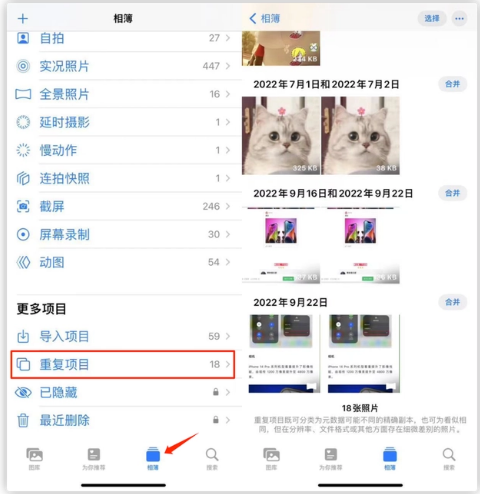 宣汉苹果手机维修分享iOS 16 中相册重复项目功能使用方法 