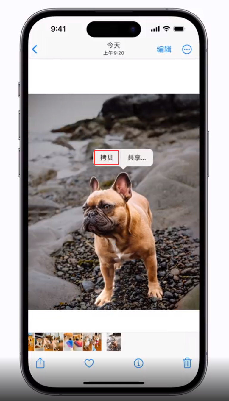 宣汉苹果手机维修分享 iOS 16 自带一键抠图功能 