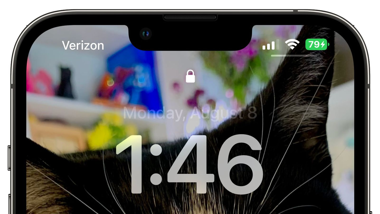 宣汉苹果手机维修分享iOS 16 beta 5 支持状态栏显示电池百分比，如何开启？支持哪些机型 