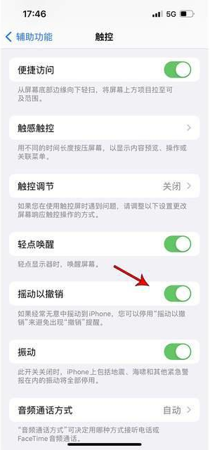 宣汉苹果手机维修分享iPhone手机如何设置摇一摇删除文字 