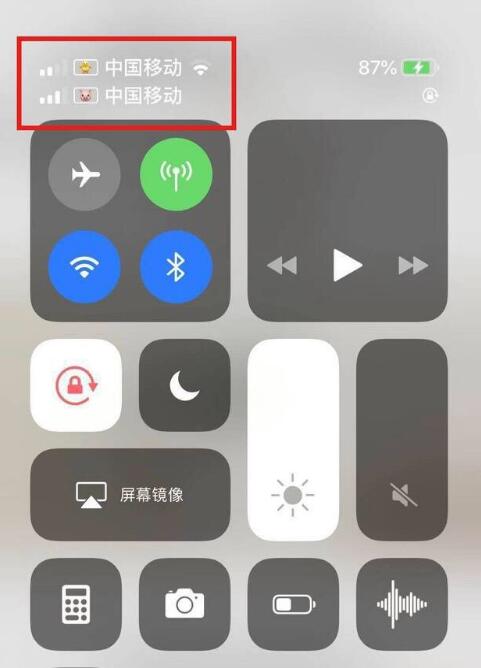 宣汉苹果手机维修分享为 iPhone 12 双卡设置标签 