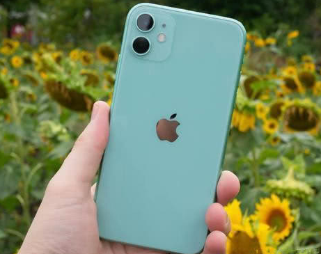 宣汉苹果维修点分享iPhone 11锁屏密码认知与使用科普 