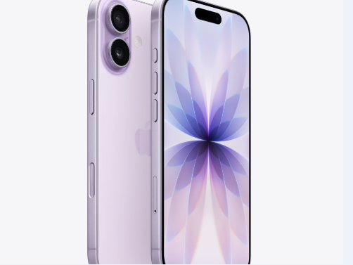 宣汉苹果维修点分享iPhone 17锁屏密码使用参考 